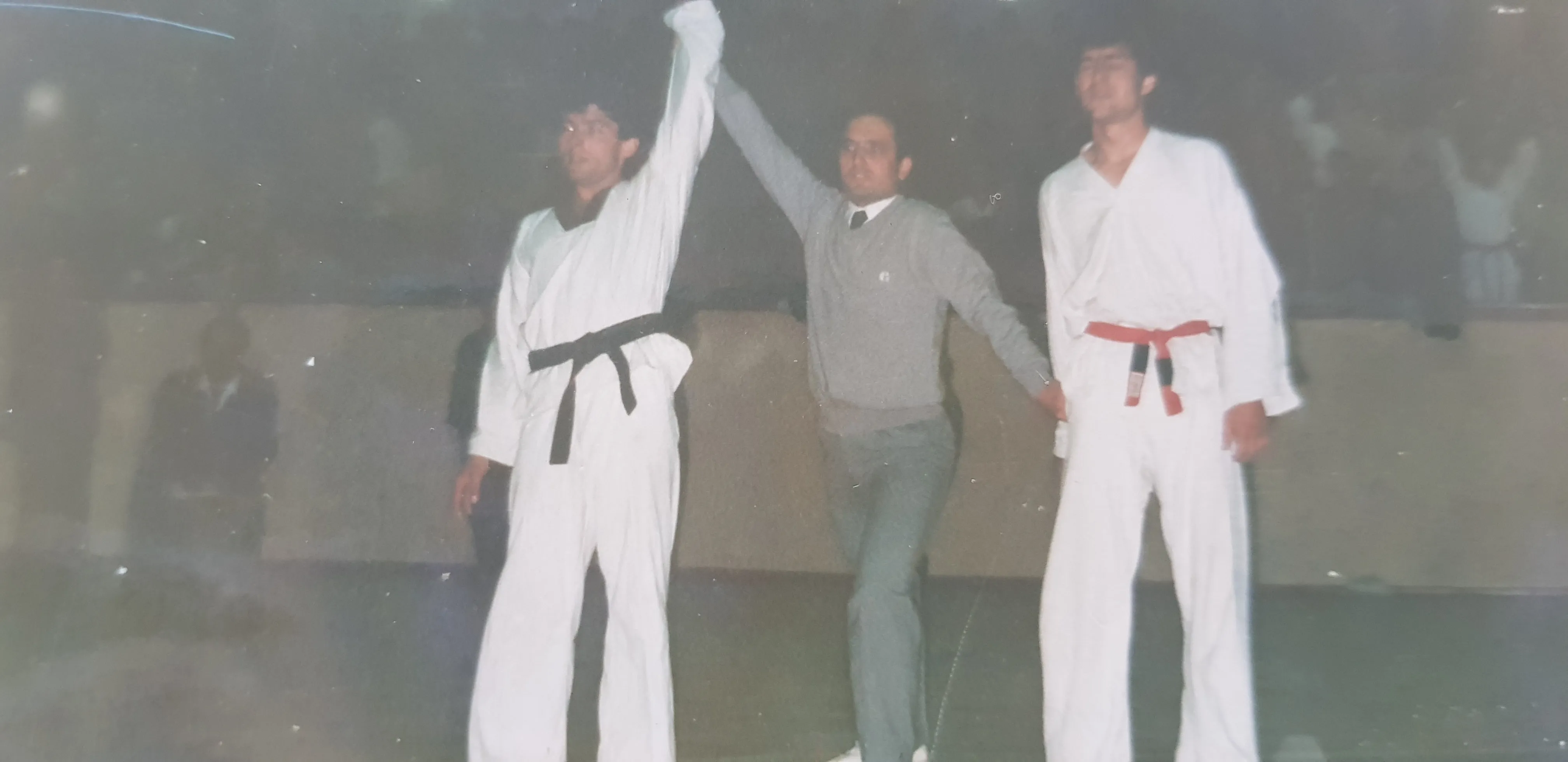 Şükrü Kınataş kazanılan Taekwondo musabakaları 1978-1987